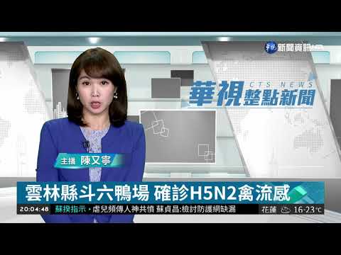 雲林縣斗六鴨場 確診H5N2禽流感