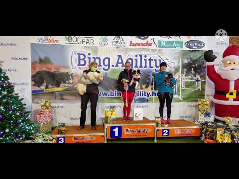 Bing Agility kupa 2021.12.11