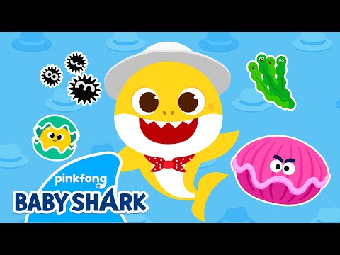 Baby Shark's White Hat | Baby Shark Colors | Learn Colors for Kids | Baby Shark