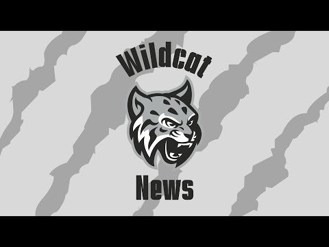 Wildcat News | Week 13