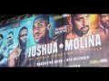 Anthony Joshua VS Eric Molina HIGHLIGHTS