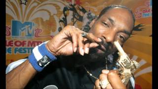 Snoop Dogg StopLight