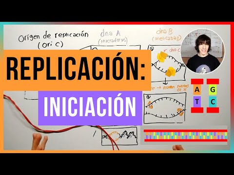 Iniciación de la Replicación del ADN (Procariotas)
