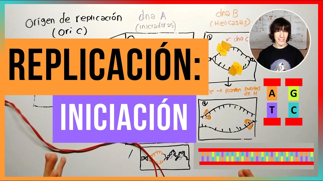 Iniciación de la Replicación del ADN (Procariotas)