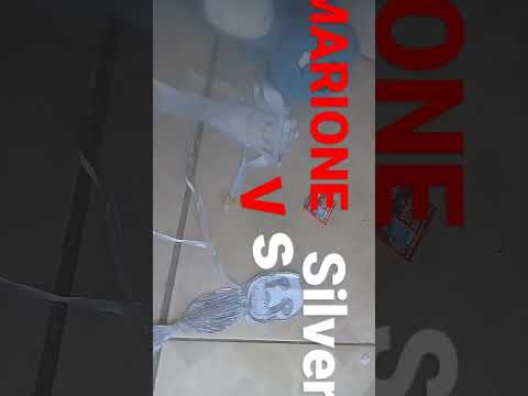 SILVER VS MARIONE