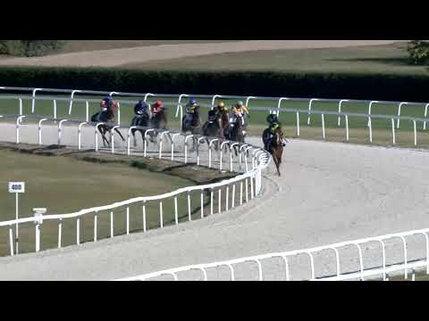 2018.09.30. 04. futam - NYERETLENEK VERSENYE (V.kat.) (szintetikus pálya)