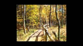 You&#39;ll Never Walk Alone - Johnny Maestro