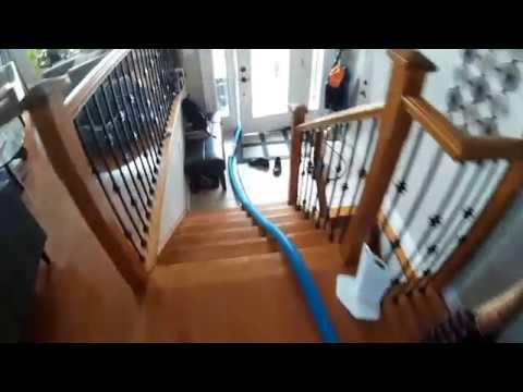Carpet Cleaning | Brantford 519 900 3978
