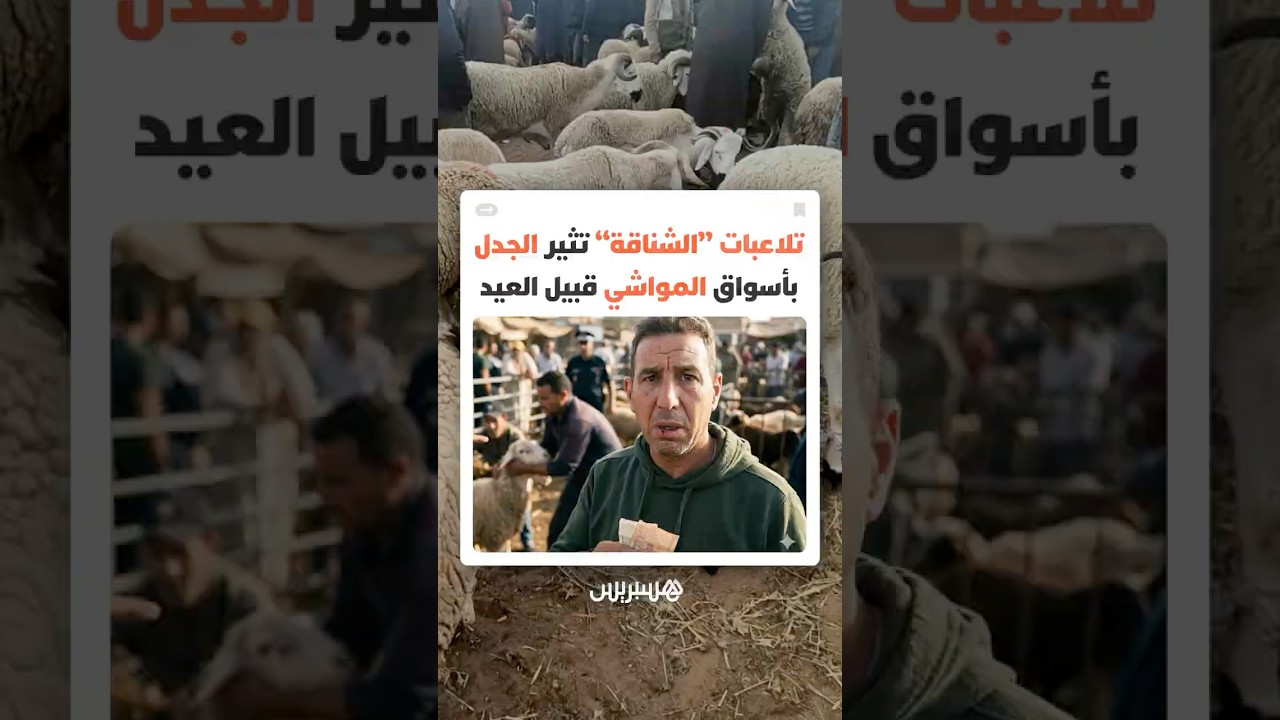 اتهامات للشناقة بتحويل أسواق الأكباش إلى فضاءات للمضاربة والربح السريع على حساب المواطنين thumbnail
