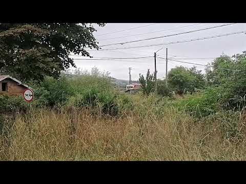 Tren R 16517 Iași - Dorohoi pleca din gara Trușești