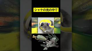 シャケの光の中で #splatoon3 #スプラトゥーン3 #スプラ3 #サーモンラン #shorts