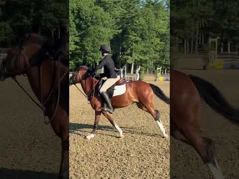 Belle video 1