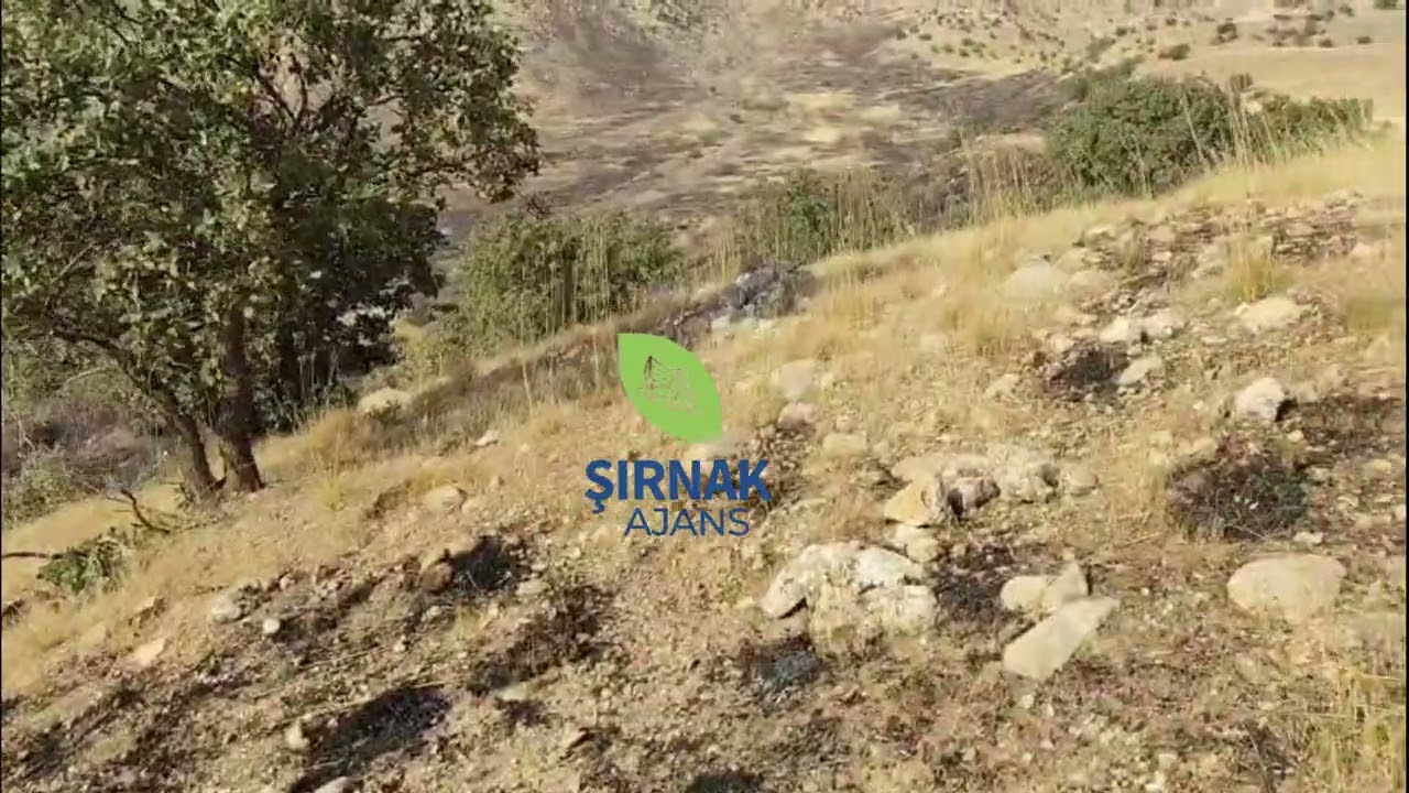 Cudi Dağı eteklerinde yangın seferberliği