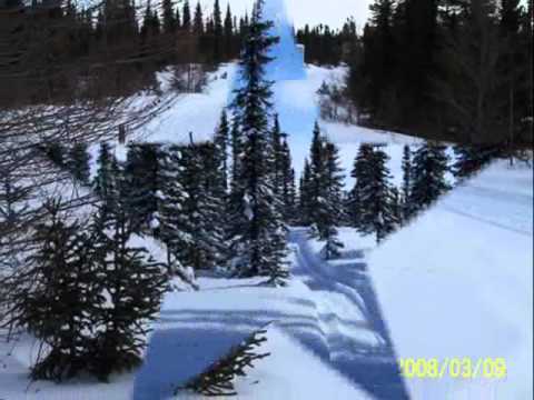 That sly old Fox.wmv