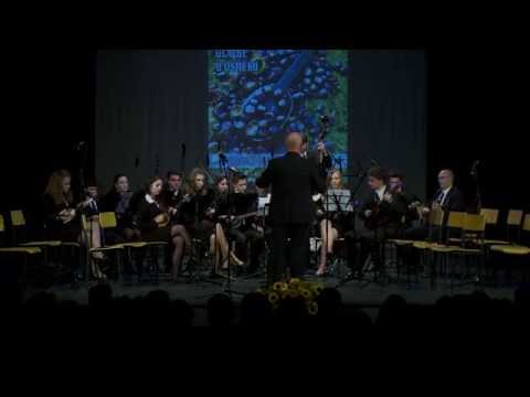 37.MFHTG - Tamburaški orkestar „Tomo Šestak" Koprivnica - juniorski