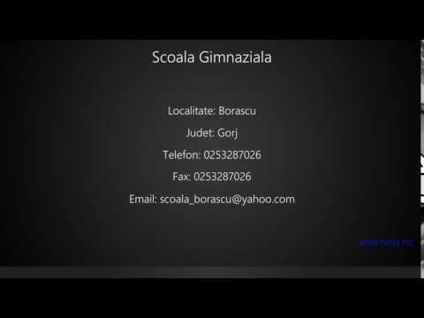 Scoala Gimnaziala Borascu