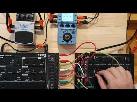 Moog Mavis and Moog Werkstatt Jam #2