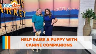 Help raise a puppy with Canine Companions - New Day NW