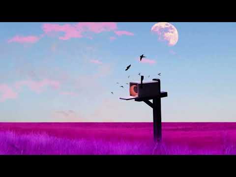 Video thumbnail for Postman