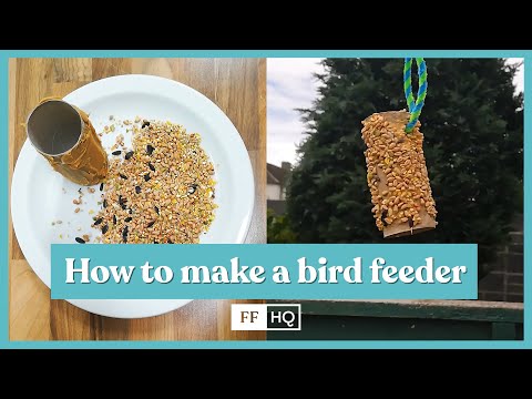 How to Make a Bird Feeder Using Toilet Paper Roll