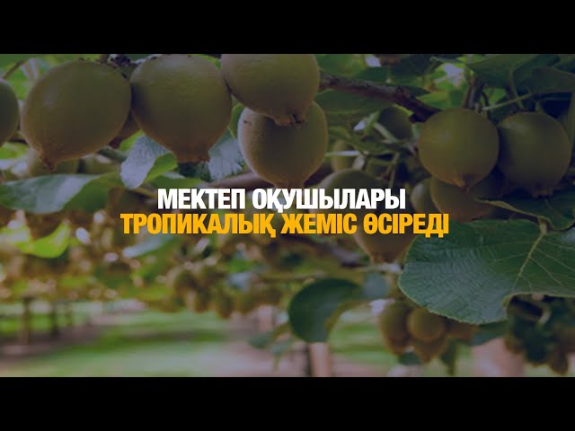 ЖАҢАЛЫҚТАР. 30.01.2025
