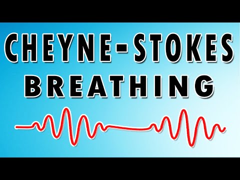 Breathing in Waves: Understanding Cheyne-Stokes Respiratory Rhythm