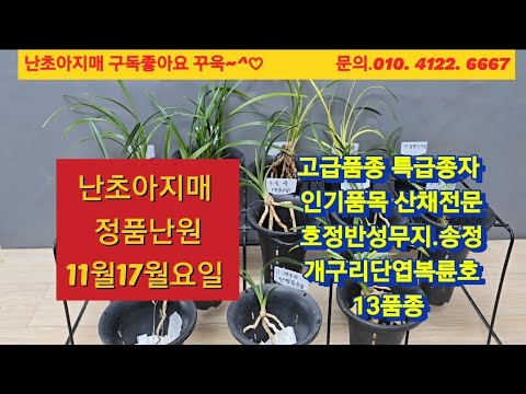 유튜브 썸네일