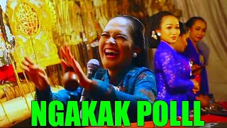 Download lagu DALANG NI ELISHA ORCARUS NGAKAK POL GORO GORO BINTANG TAMUNE, GAYENG E ORA UMUM mp3