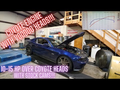 Coyote with Voodoo Heads.... How much does it pick up?