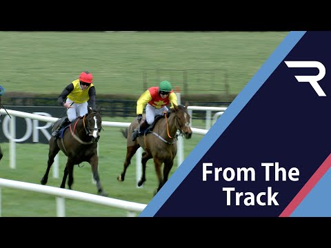 Just in time! JUSTICIALISM flies home to snatch victory on the line at Naas - Racing TV