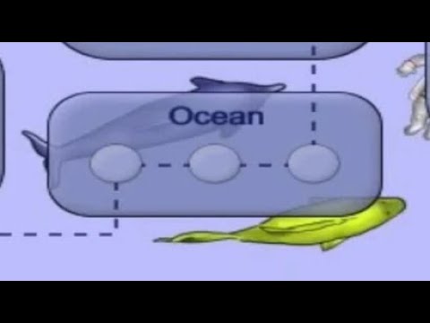 Tasty Planet: Ocean 3