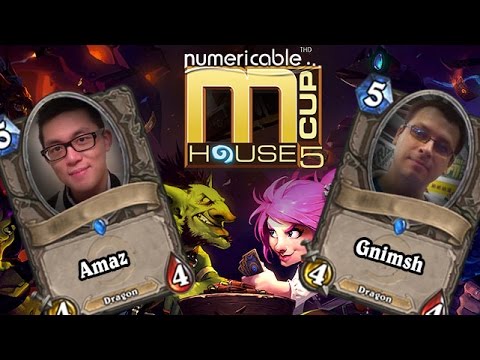 Gnimsh vs Amaz - Groupe B - Numericable Cup Millenium Winter 2014 - FR