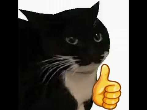 Maxwell el gato (Techno Flip)