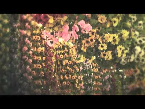 Lord Huron - The Problem With Your Daughter (Official Audio)