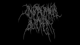 Intracranial Butchery - Promo/Demo 2009 (FULL ALBUM) BRUTAL DEATH METAL!