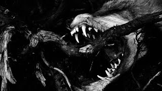 For Jane // Charles Bukowski