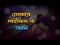 তোমারে পাইলাম না আমি -Tomare Pailam Na Ami - New Bangla Folk Song 2023 - Lofi Next