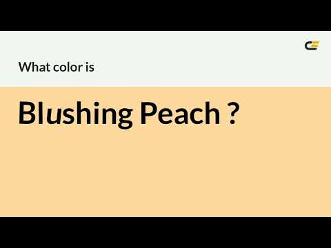 What color is  Blushing Peach  ? #ffd79f hex color - Yellow color - Warm color ffd79f