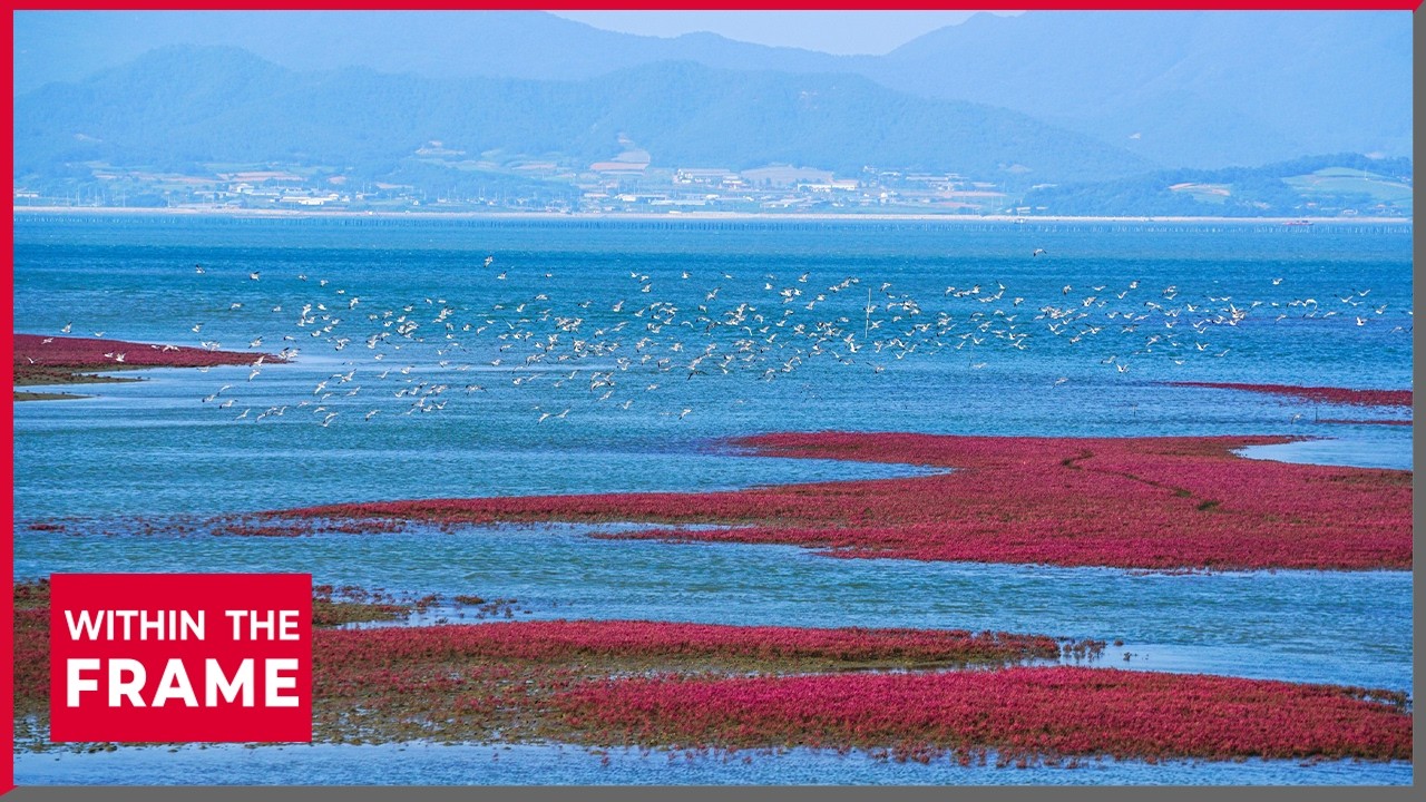 South Korea hosts UNESCO World Heritage Committee session on cultural preservation strategy