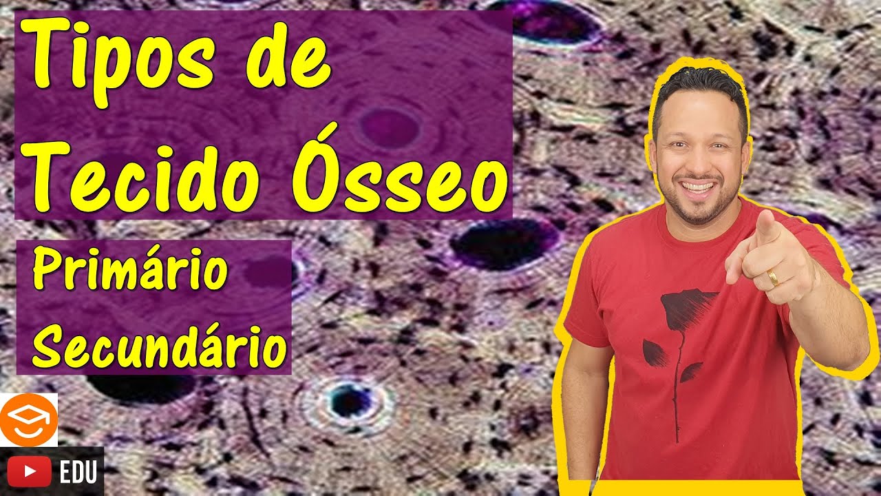 Tipos de Tecido Ósseo - Tecido Ósseo Primário e Tecido Ósseo Secundário - Histologia Animal