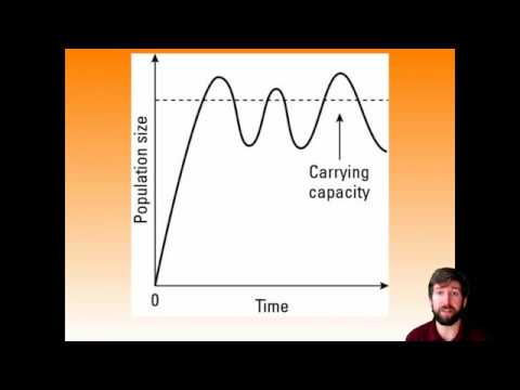 Chapter 6: modules 18 and 19 quick overview