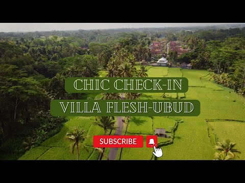 Stunning private villa Ubud BALI - Villa FLESH 4K