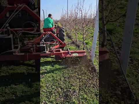 ​Zašto je freziranje ključno?​ Priprema zemljišta za vrhunski prinos  📈​ Borba protiv korova #freza