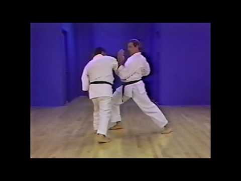 Goju ryu kata   Shisochin basics