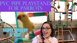 PVC PIPE PLAYSTAND FOR PARROTS | Super Unique & Fun!