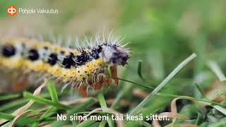 Markku &amp; Johannes Toukkina