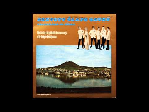 Rúnar Gunnarsson - Villtir strengir