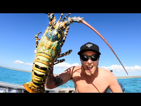 GIANT LOBSTER Catch and Cook