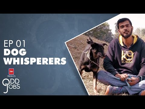 Meet Dog Whisperers | Odd Jobs | Episode 1