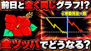 【キングハナハナ】前日と全く同じ挙動の台！？完全確率を疑いながら全ツッパした結果...【パチンカス養分ユウきのガチ実践#503 】